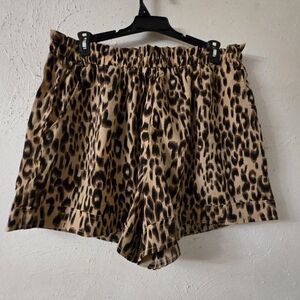 High Waist Leopard Print Women's Shorts